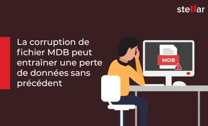 La corruption de fichier MDB peut entraîner une perte de données sans précédent