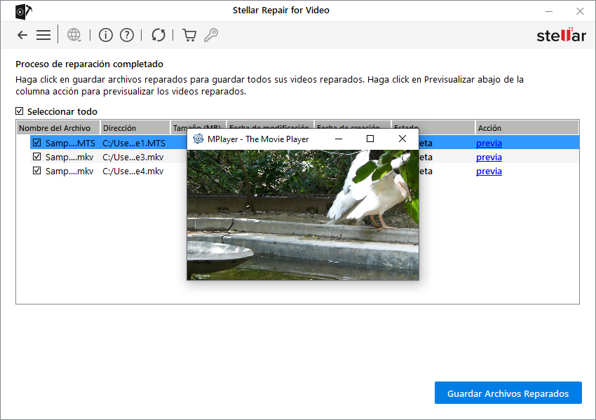 Vista previa de los vídeos reparados en Mac