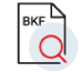 搜索Exchange Backup Files图标