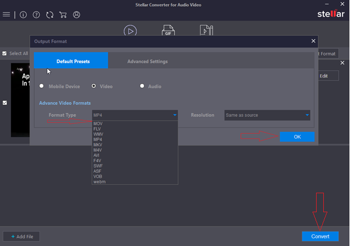 Stellar Audio Video Converter - Select Format Type