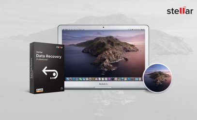 来恢复文件persi su macOS Catalina 10.15