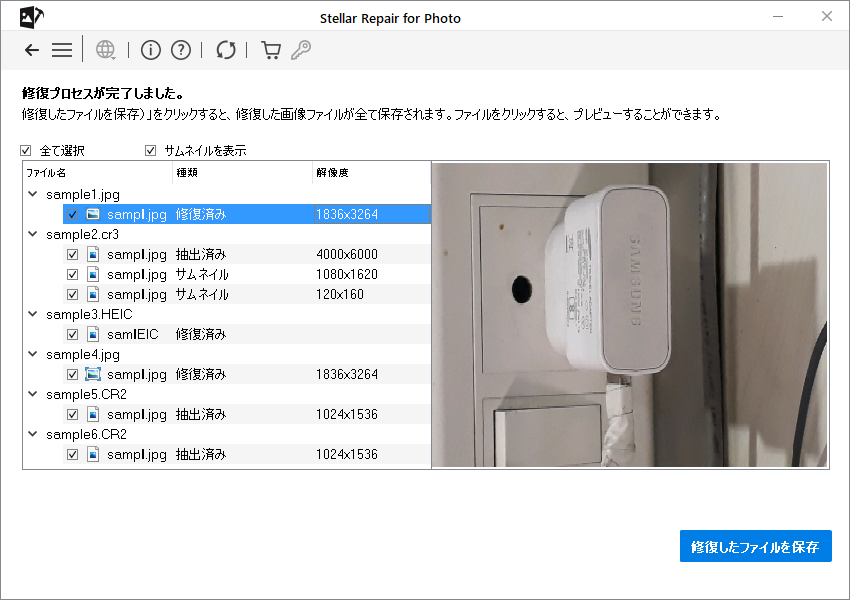 //m.photo-criticism.com/help/public/onlinehelp_img/stellar-repair-for-photo-8-windows-standard-en/previewing-and-saving-files/preview.png