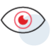 Preview Recoverable MySQL Database Objects