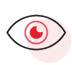 Previews Recoverable SQL Database Objects