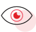 Preview the Data before Saving