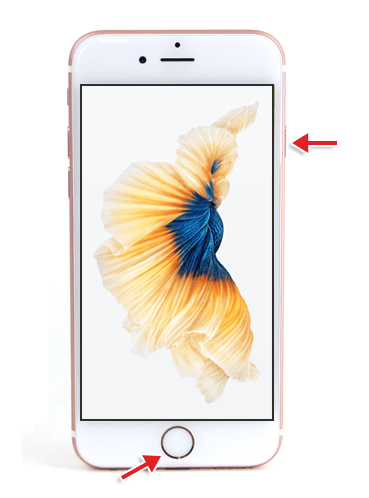 重启iPhone 6、7、8和se