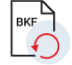 Recovers Data from Large Backup Files