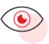 Provides Preview of Database Tables