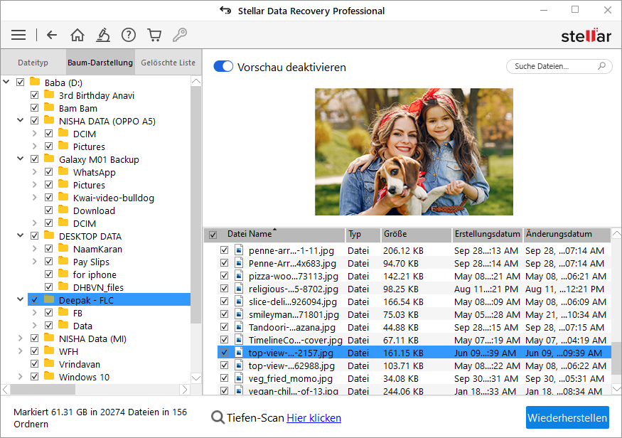 斯坎南&维德赫斯特伦