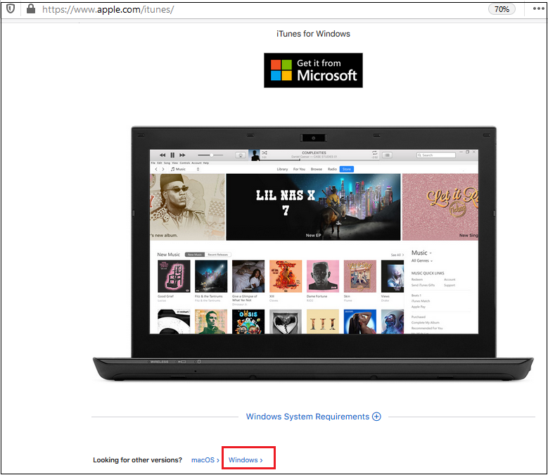 苹果商店的iTunes Windows选项